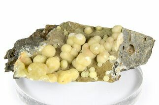 Globular Yellow Calcite Formations on Basalt - Italy #368885