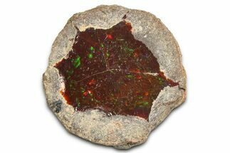 Ethiopian Chocolate Opal Nodule - Yita Ridge #369089