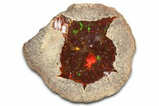 Ethiopian Chocolate Opal Nodule - Yita Ridge #369097