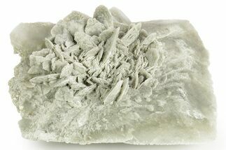 Selenite Crystal - Box Elder County, Utah #369278