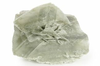 Selenite Crystal - Box Elder County, Utah #369284