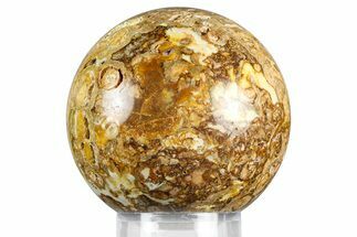 Polished Fossil Stromatolite Sphere - Green River Formation #369853