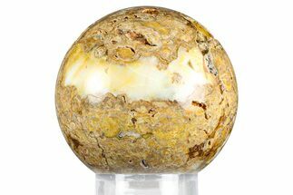 Polished Fossil Stromatolite Sphere - Green River Formation #369854