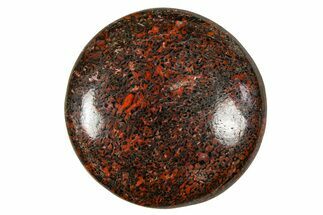 Polished Dinosaur Bone (Gembone) Cabochon - Colorado #370750