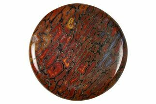 Polished Dinosaur Bone (Gembone) Cabochon - Colorado #370751