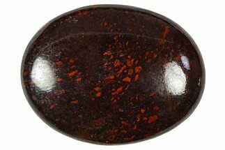 Polished Dinosaur Bone (Gembone) Cabochon - Colorado #370764