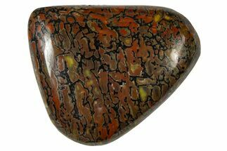Polished Dinosaur Bone (Gembone) Cabochon - Colorado #370765