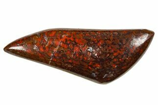 Polished Dinosaur Bone (Gembone) Cabochon - Colorado #370774