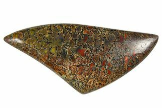 Polished Dinosaur Bone (Gembone) Cabochon - Colorado #370775