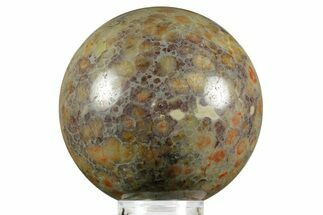 Polished Dinosaur Coprolite Sphere - Utah #370913