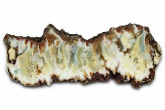 Polished Gabbs Valley Seam Agate Slab - Nevada #371176