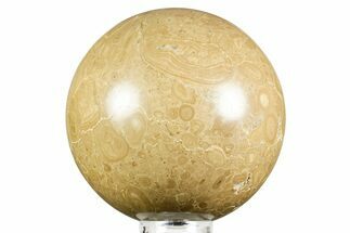 Polished Bird's Eye Jasper (Rhyolite) Sphere - Utah #371223