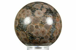 Polished Orbicular Rhyolite (Peanut Obsidian) Sphere - Mexico #371237