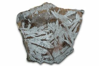 Polished Crystalline Hematite & Magnetite Section - Nevada #371261