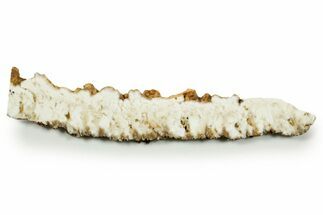 Polished White Plume Agate Slab - Nevada #371199