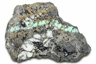 Polished Turquoise in Matrix Slab - Nevada #371563