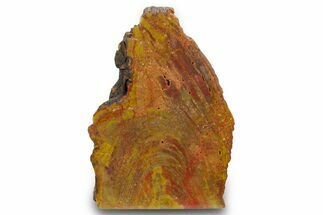 Free Standing Petrified Wood (Araucarioxylon) - Arizona #371671