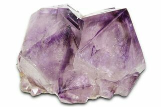 Cactus Quartz (Amethyst) Crystal - South Africa #371664