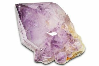 Cactus Quartz (Amethyst) Crystal - South Africa #371666
