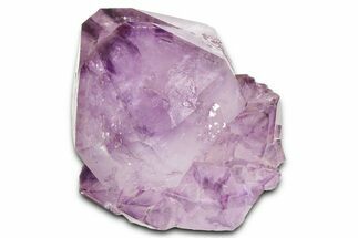Cactus Quartz (Amethyst) Crystal - South Africa #371683