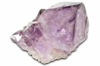 Cactus Quartz (Amethyst) Crystal - South Africa #371685