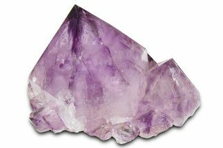Cactus Quartz (Amethyst) Crystal - South Africa #371687