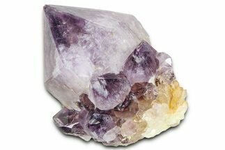Cactus Quartz (Amethyst) Crystal - South Africa #371689