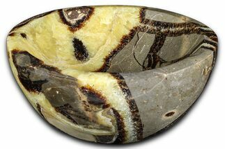 Eye-Eatching Polished Septarian Dish - Madagascar #371705