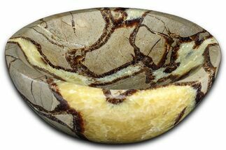 Eye-Eatching Polished Septarian Dish - Madagascar #371707