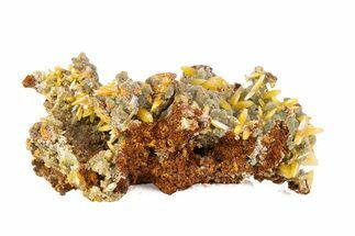 Wulfenite & Green Botryoidal Mimetite Association - Mexico #372084
