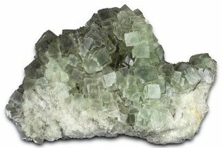 Green Cubic Fluorite Crystal Cluster on Matrix - China #372109