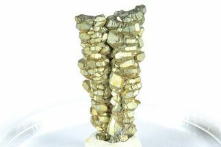 Glistening Marcasite Crystal Stalactite - Linwood Mine, Iowa #372135