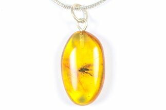 Polished Baltic Amber Pendant (Necklace) - Contains Fly! #368890