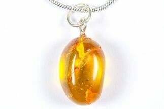 Polished Baltic Amber Pendant (Necklace) - Contains Fly! #368996