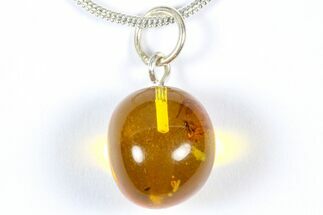 Polished Baltic Amber Pendant (Necklace) - Contains Fly! #368997