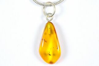 Polished Baltic Amber Pendant (Necklace) - Contains Fly! #369002