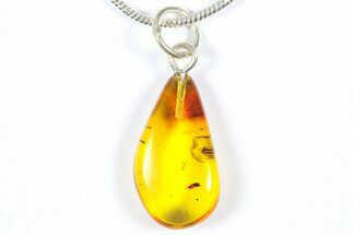 Polished Baltic Amber Pendant (Necklace) - Contains Flies! #369003