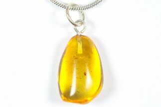 Polished Baltic Amber Pendant (Necklace) - Aphid Nymph! #369023