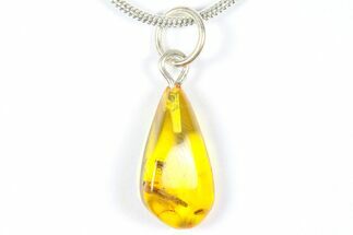 Polished Baltic Amber Pendant (Necklace) - Contains Fly & Bark! #369026