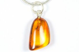 Polished Baltic Amber Pendant (Necklace) - Contains Fly! #369027