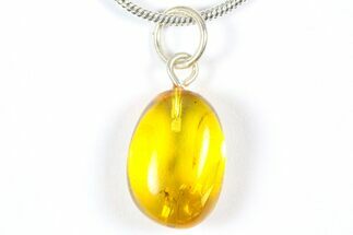 Polished Baltic Amber Pendant (Necklace) - Contains Wasp! #369028