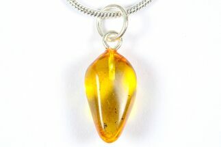 Polished Baltic Amber Pendant (Necklace) - Contains Fly! #369029