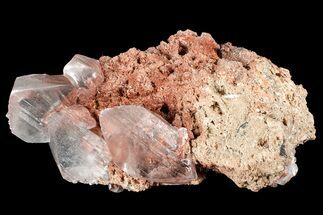 Glassy Selenite Crystals on Matrix - Naica Mine, Mexico #372167