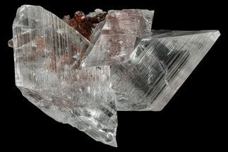 Glassy Selenite Crystal Cluster - Naica Mine, Mexico #372188