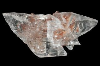 Glassy Selenite Crystal Cluster - Naica Mine, Mexico #372205