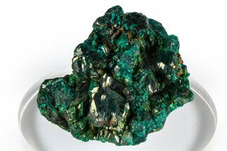 Emerald-Green Dioptase Crystal Cluster - Congo #372208