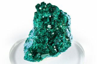 Gemmy Dioptase Crystal Cluster on Plancheite - Sanda, Congo #372223