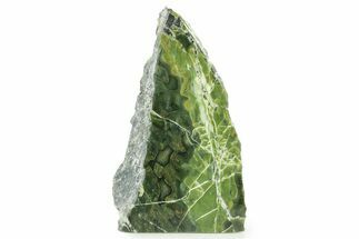 Free-Standing Polished Noble Serpentine - Washington #372490