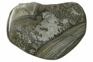 Triassic Aged Stromatolite Fossil - England #365737