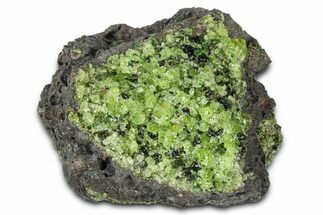 Peridot Crystals in Basalt - Arizona #369525